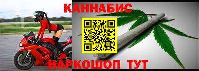 прущие грибы Усть-Илимск