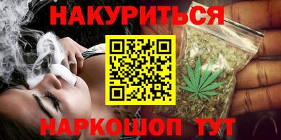 прущие грибы Усть-Илимск