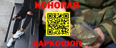 прущие грибы Усть-Илимск
