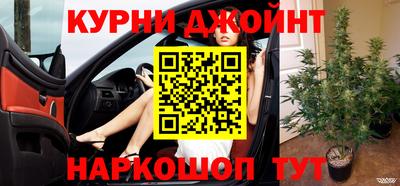 прущие грибы Усть-Илимск