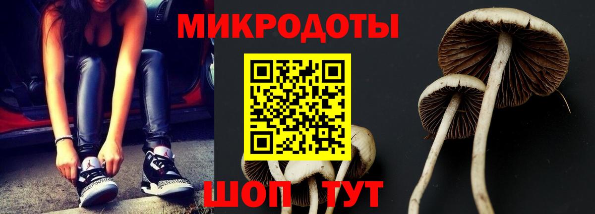 Алексеевка  Псилоцибиновые грибы Cubensis  Вход с VPN 
