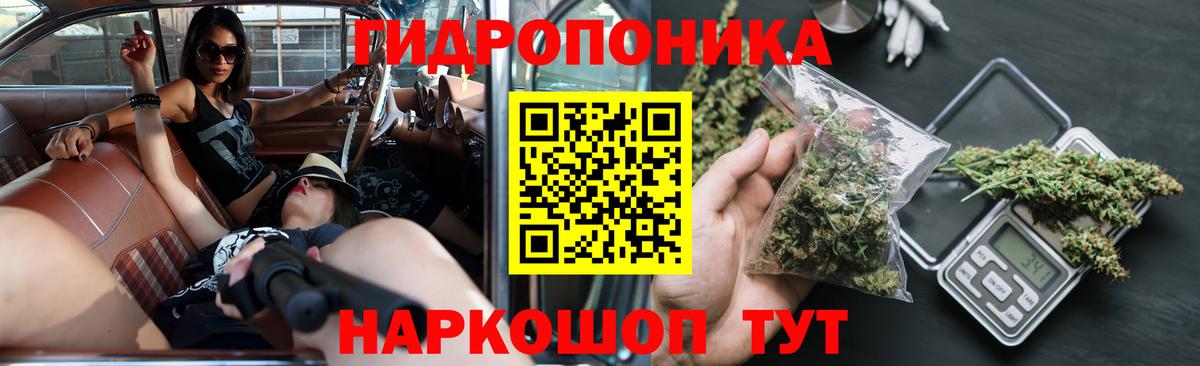 Конопля планчик Алексеевка